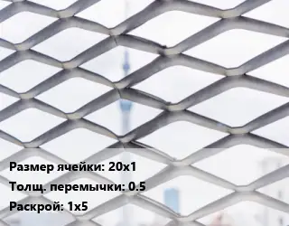 Сетка ЦПВС 20х1 0.5 Раскрой: 1х5